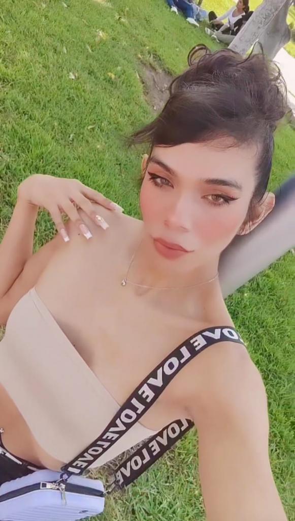 Travesti en Navarra: 