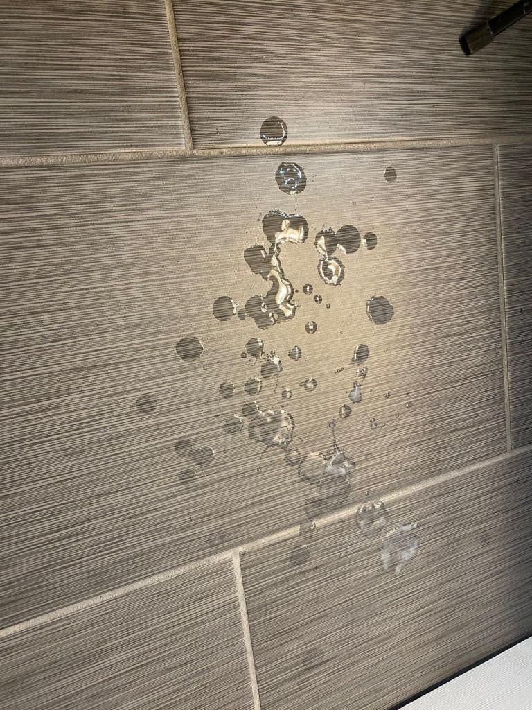 Chico busca chica en Tarragona: 