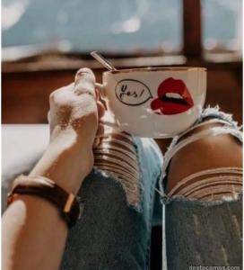 Chica busca chico en Castellón: 