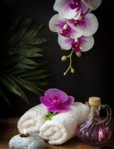 Chica busca chico en Tarragona: 