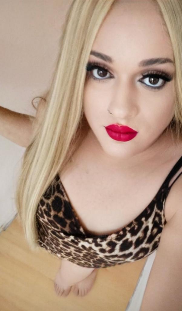 Travesti en Cantabria: 