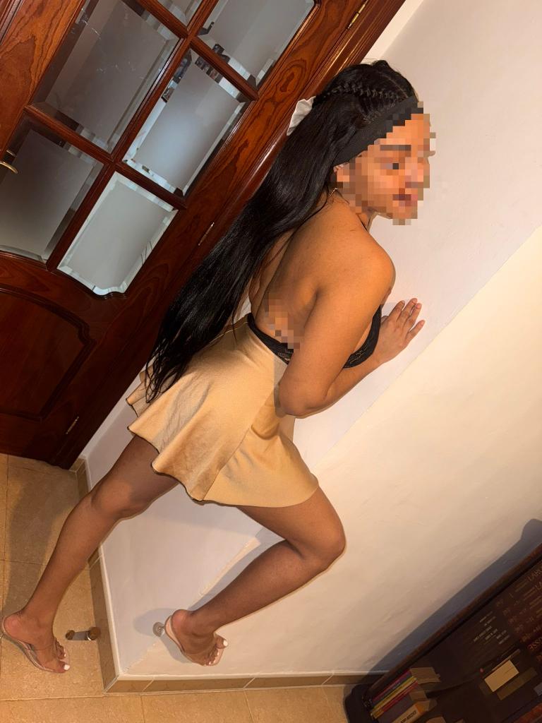 Chica busca chico en Alicante: 